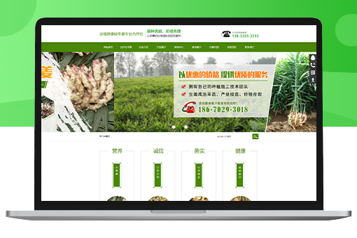 Pbootcms农业蔬菜生姜种植网站模板